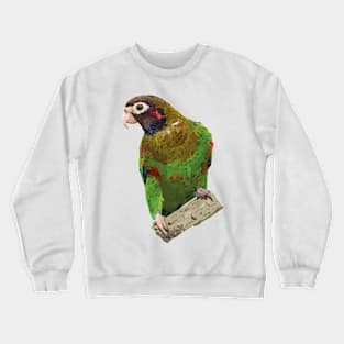 Hooded Parrot Crewneck Sweatshirt